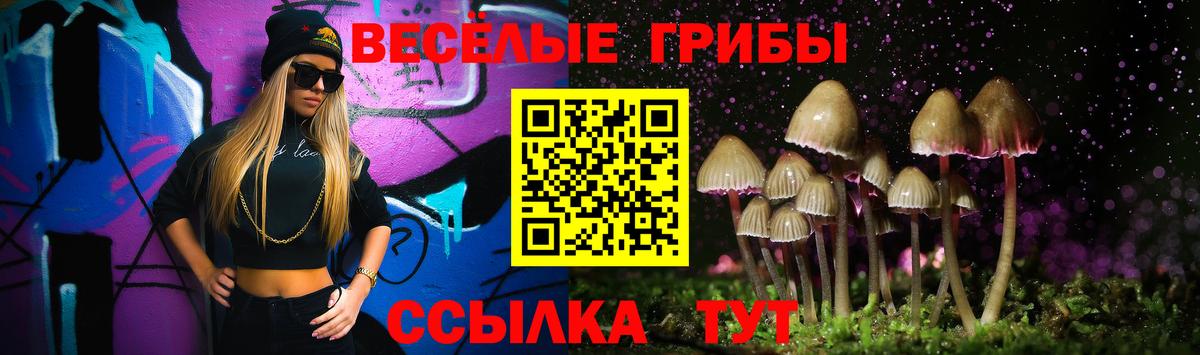 Трёхгорный  Галлюциногенные грибы ЛСД  Вход с VPN 